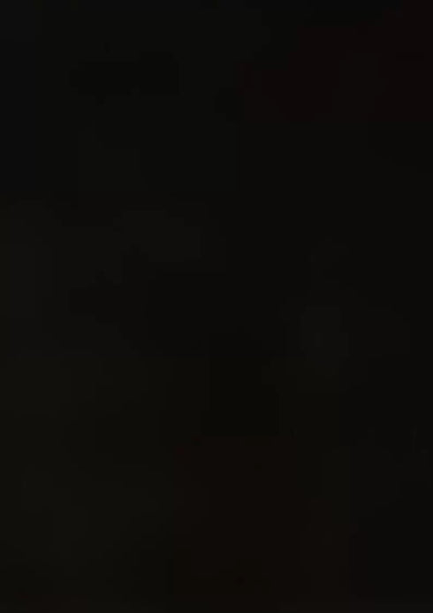 Calcinha fio dental em algodão