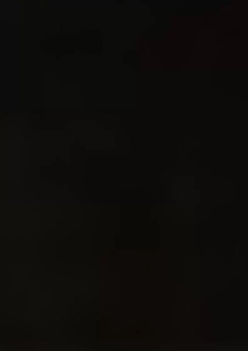 Calcinha Borboleta em Algodão Modal