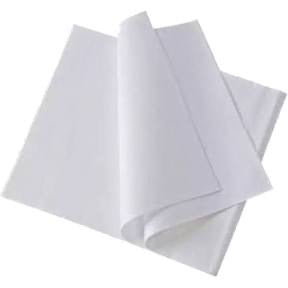 Toalha descartável manicure 20X30 C/50